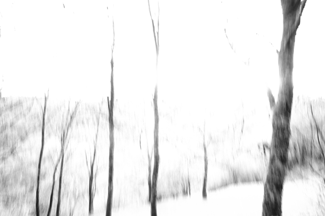 Natasha Vassilieff - Open Fields