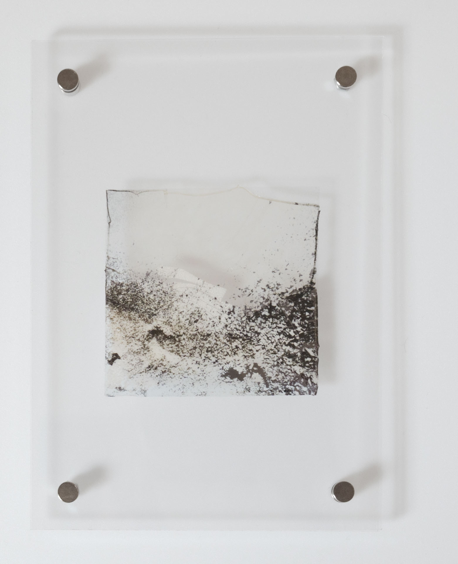 Natasha Vassilieff - laisses 04