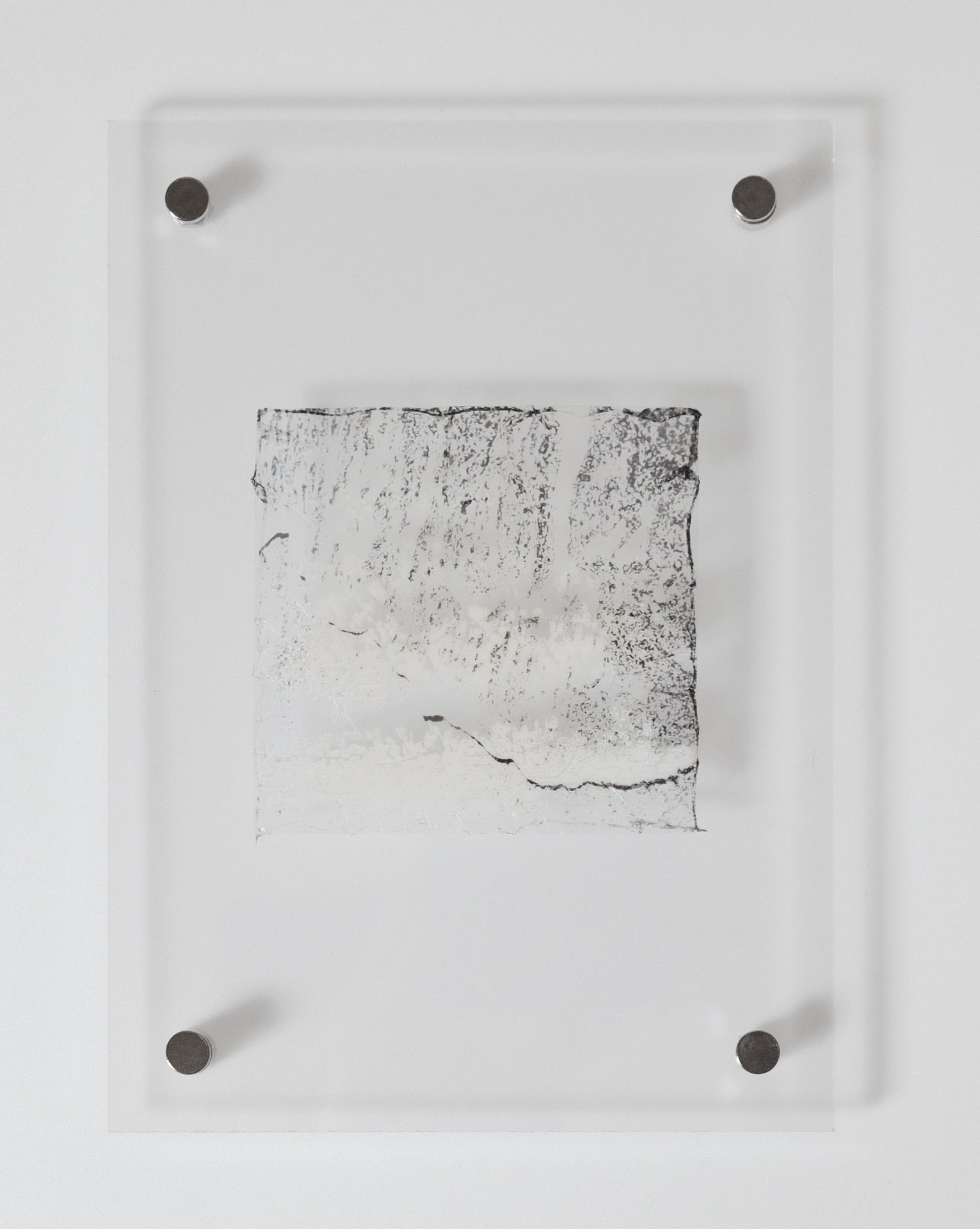 Natasha Vassilieff - laisses 05