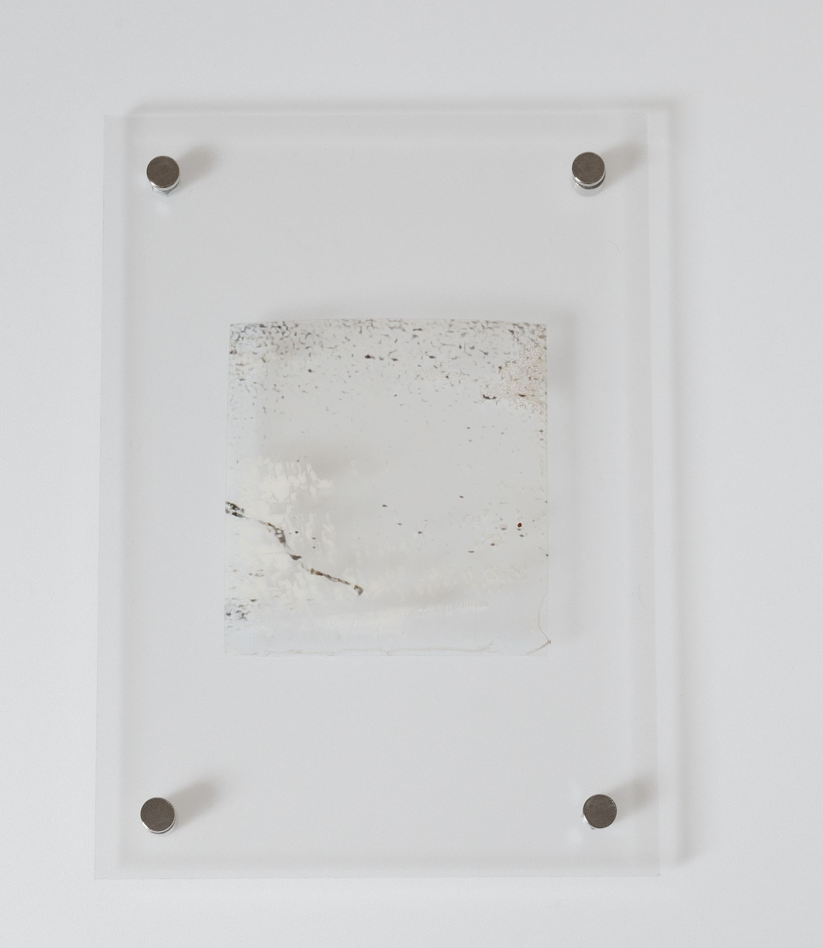 Natasha Vassilieff - laisses 06