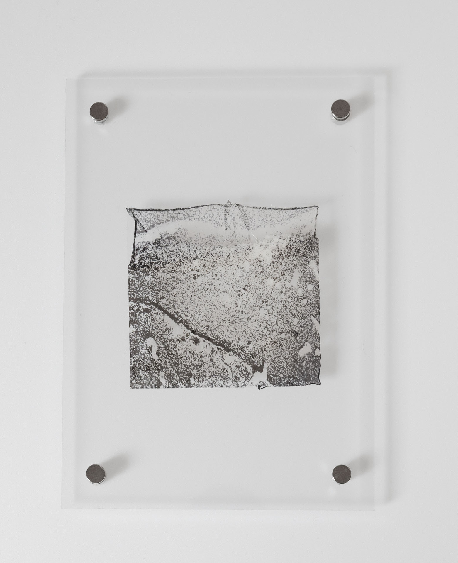 Natasha Vassilieff - laisses 07