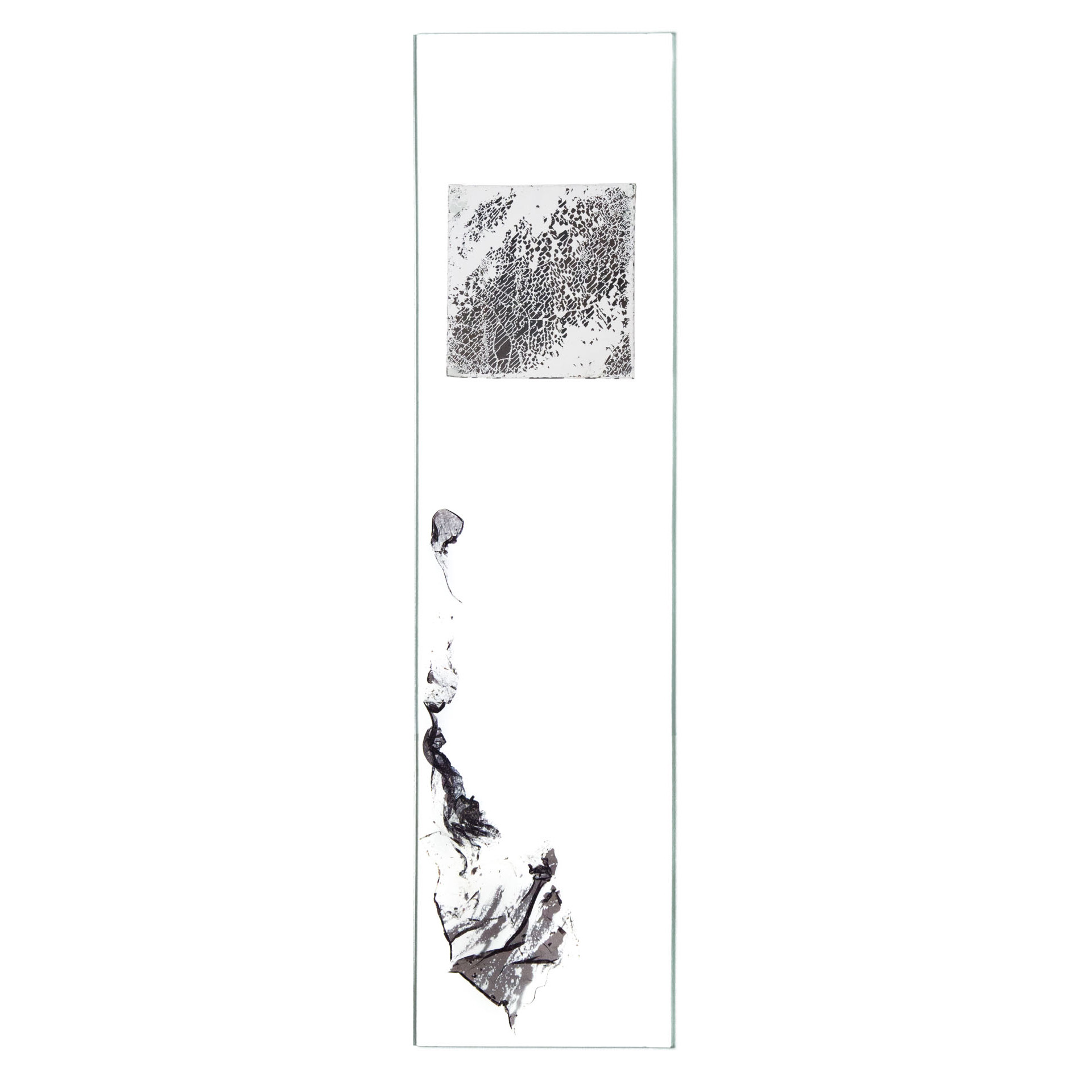 Natasha Vassilieff - les-empreintes 02