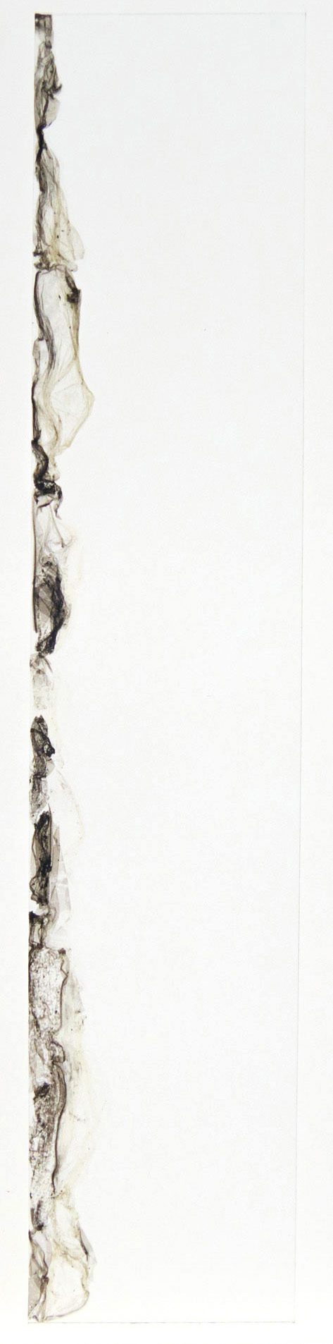 Natasha Vassilieff - les-empreintes 08