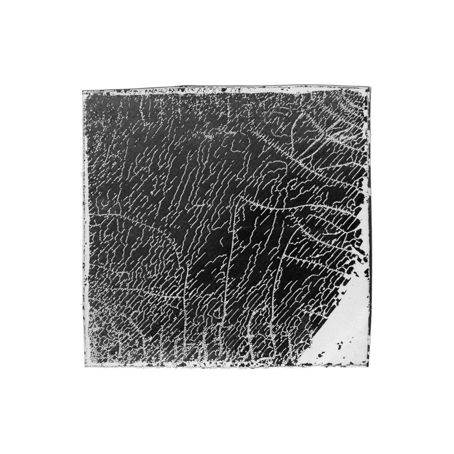 Natasha Vassilieff - les-empreintes-acte1 01