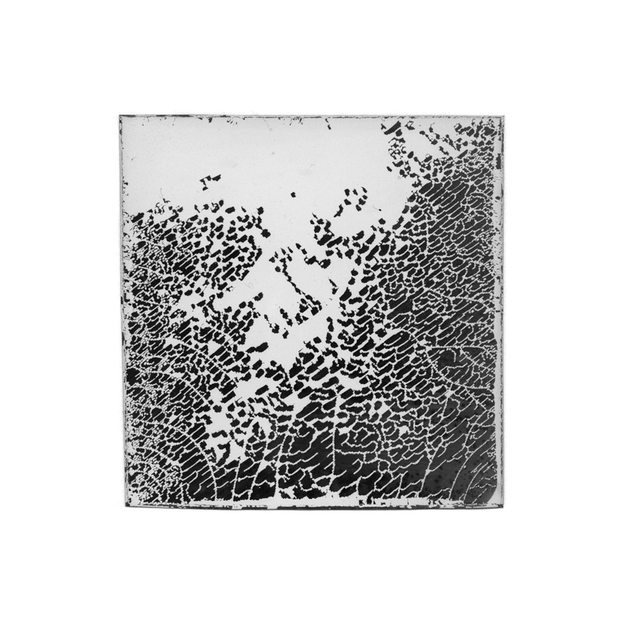 Natasha Vassilieff - les-empreintes-acte1 03