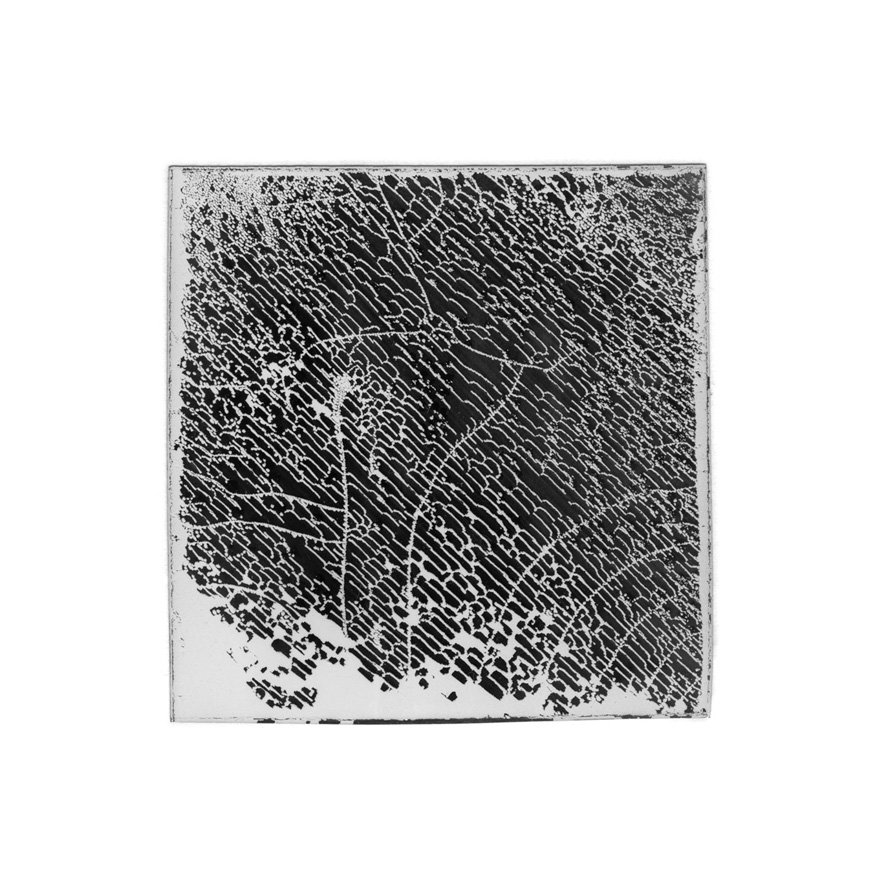 Natasha Vassilieff - les-empreintes-acte1 04