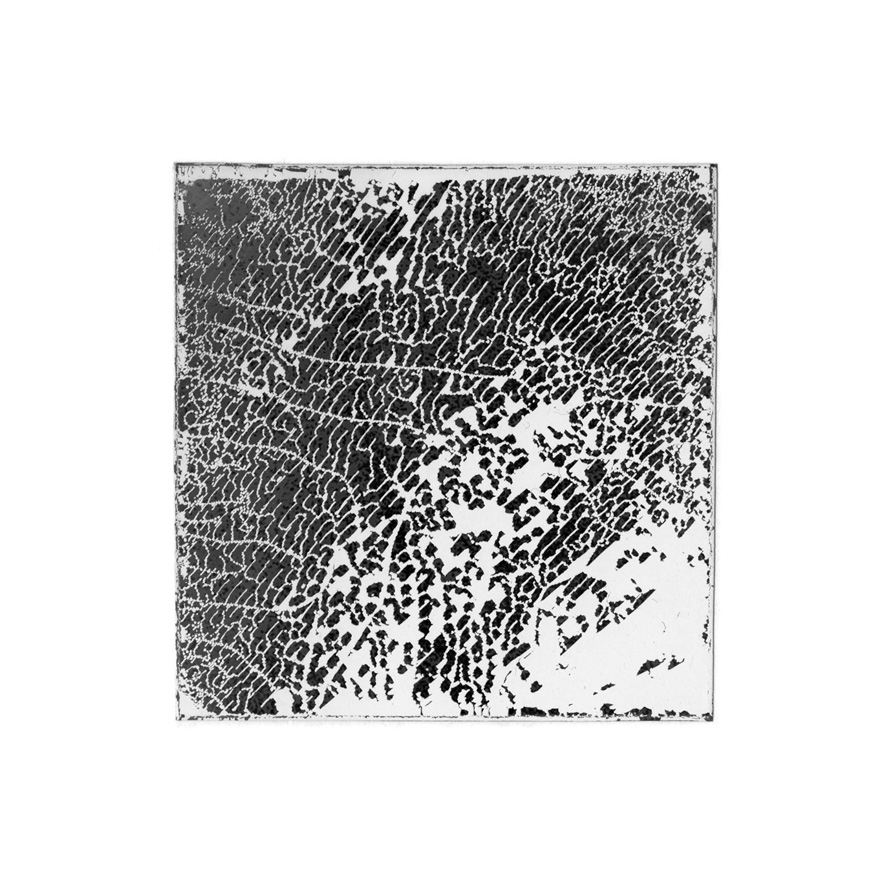 Natasha Vassilieff - les-empreintes-acte1 06