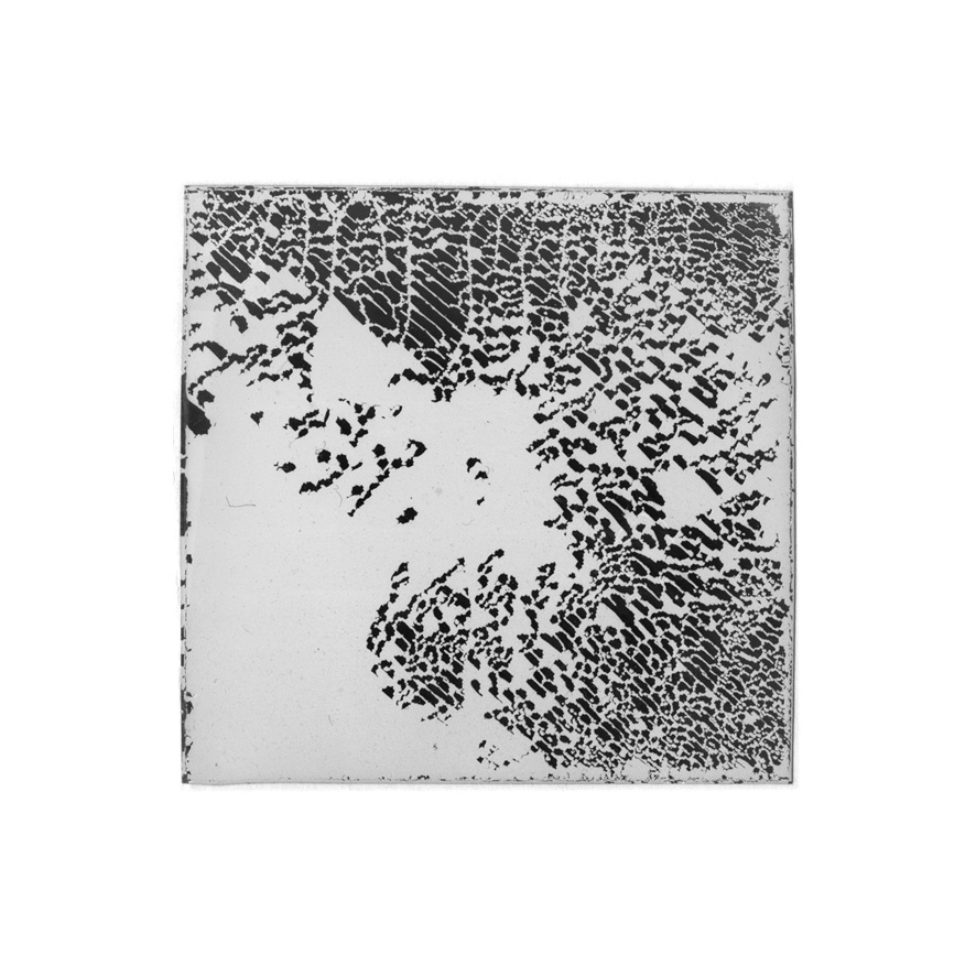 Natasha Vassilieff - les-empreintes-acte1 07