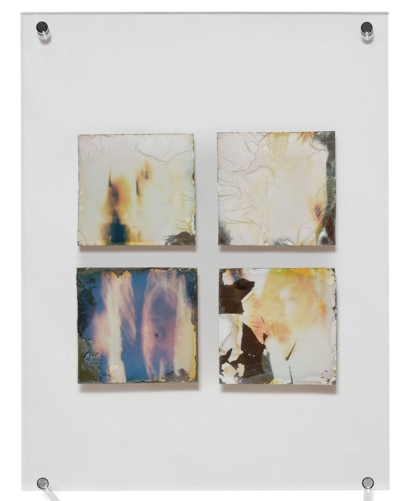 Natasha Vassilieff - les-persistantes 01