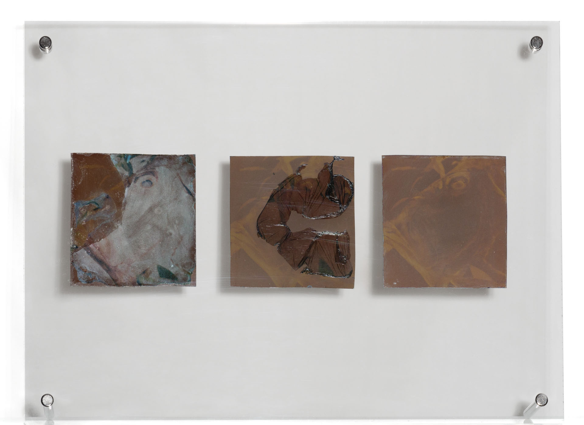 Natasha Vassilieff - les-persistantes 02