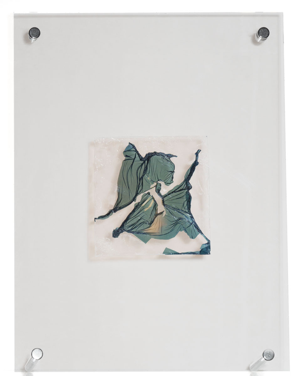 Natasha Vassilieff - les-persistantes 05