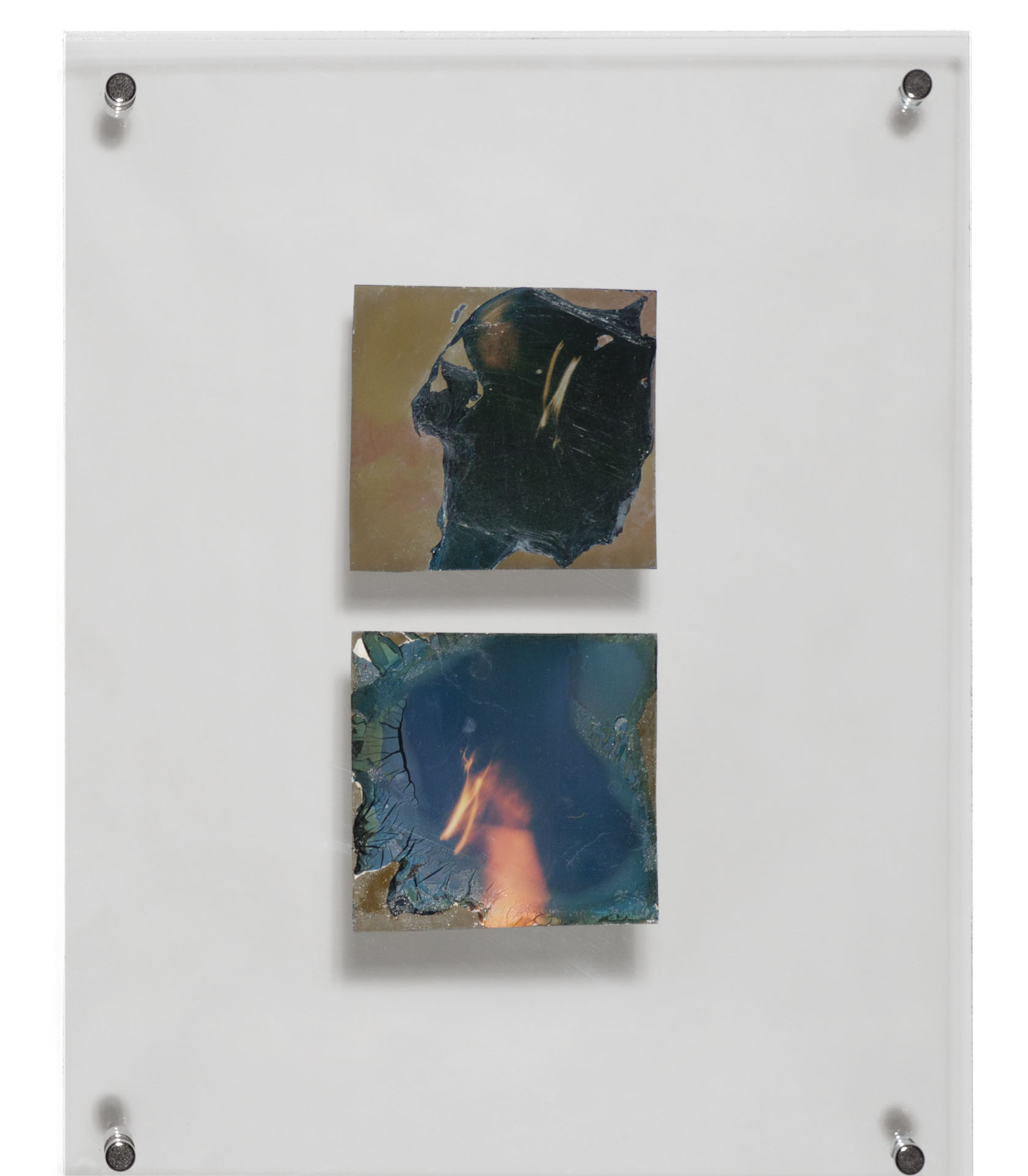 Natasha Vassilieff - les-persistantes 06