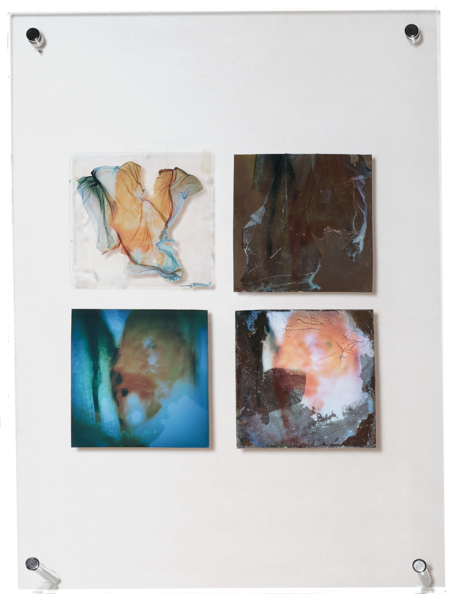 Natasha Vassilieff - les-persistantes 07