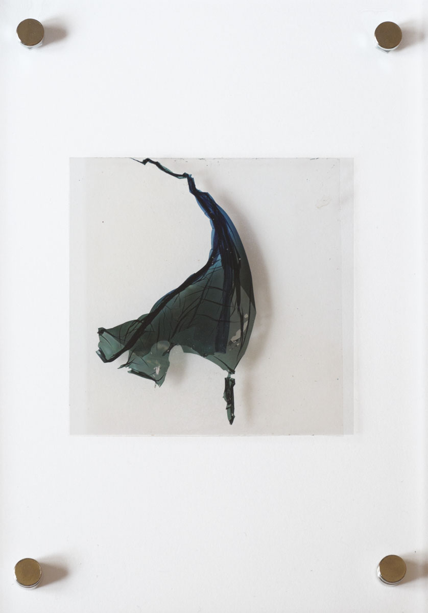 Natasha Vassilieff - les-persistantes 08