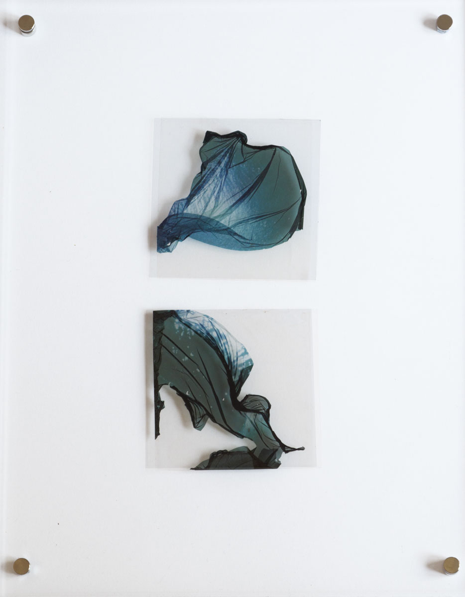 Natasha Vassilieff - les-persistantes 10