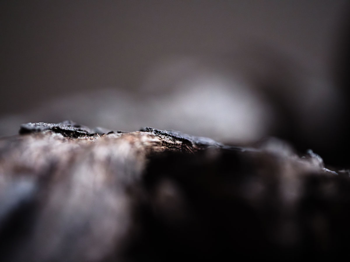 Natasha Vassilieff - souches-acte1 05