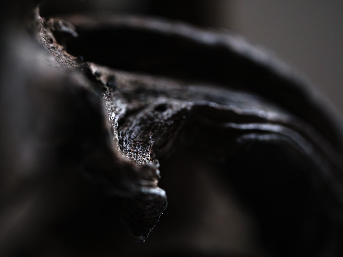 Natasha Vassilieff - souches-acte1 06